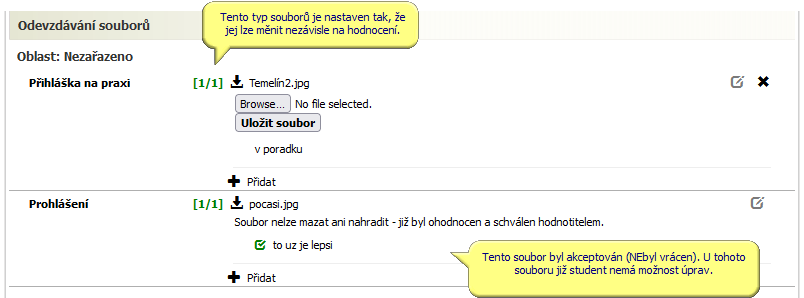 Akceptovaný soubor, student jej již nemůže měnit